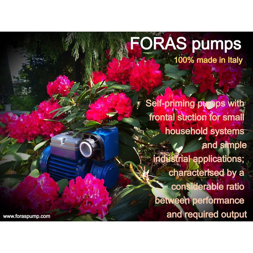 foras-pe50a-gartenpumpe-2.jpg